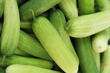 Fresh cucumbers for cooking in the market