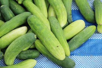 Fresh cucumbers for cooking in the market