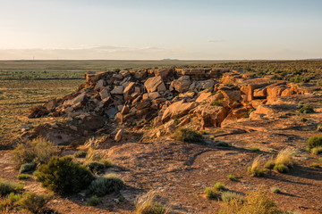 Petrified wood at Petrified Forest National Park