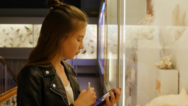 Teenager cute girl makes draw sketches in graphic tablet of stuffed animals and birds in museum of nature as part of school task of biology