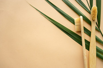 close up image of two natural bamboo brushes