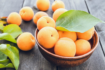 Ripe yellow apricots in a bowl on a wooden table near green leaves.