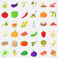 Pumpkin icons set. Cartoon style of 36 pumpkin vector icons for web for any design