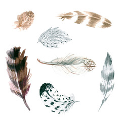 .Hand-drawn feathers, watercolor illustration. Set of multicolored feathers