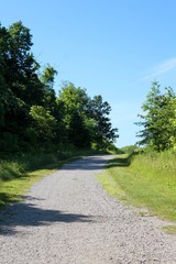 The long empty pathway up the hill on a sunny day.