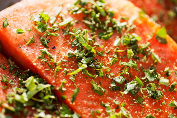 Fresh Salmon and Herbs