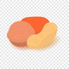 Nuts icon. Cartoon isometric illustration of nuts vector icon for web