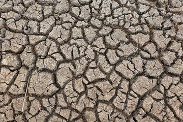 Crack soil on dry season, Global worming effect