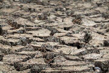 Crack soil on dry season, Global worming effect