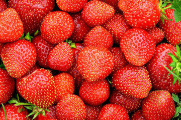 Strawberry background. Fresh organic berries.