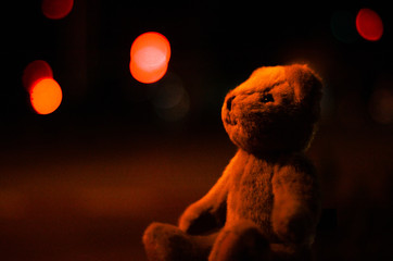 Teddy bear pictures with night lights