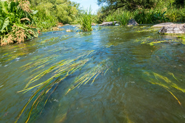 Beautiful view of the current Tikich river with stone boulders near Buky Canyon, Ukraine
