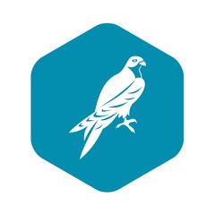 Falcon icon. Simple illustration of falcon vector icon for web