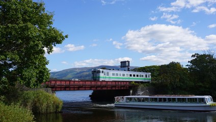 白鳥台せバット