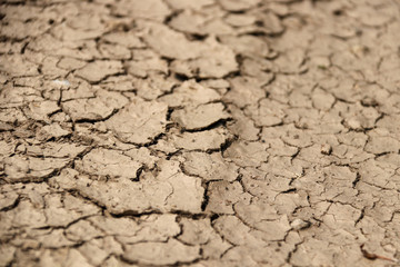 dry cracked earthduring european heatwave