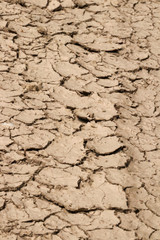 dry cracked earth during european heatwave