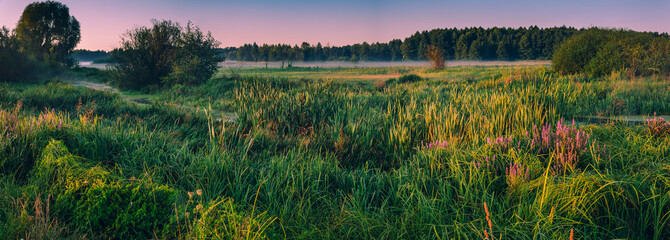 Morning nature in sunlight and dew © ghostdom