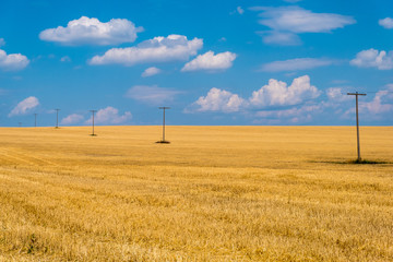 Fototapeta na wymiar Golden wheat field against a blue sky, Ukraine