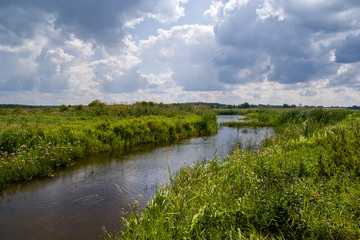 Lato nad Narwią. Narwiański Park Narodowy. Podlasie, Polska © podlaski49