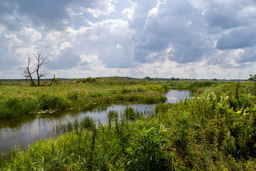 Lato nad Narwią. Narwiański Park Narodowy. Podlasie, Polska © podlaski49