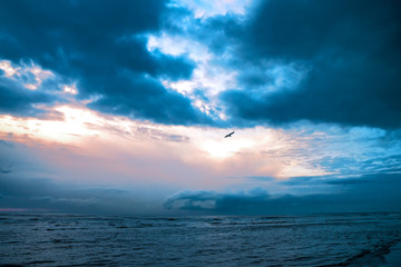Gewitterwolken mit Abendrot und einen Vogel am Meer
