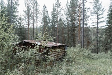 Природа УРАЛА