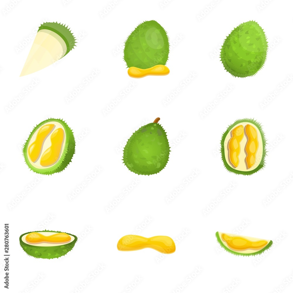 Poster durian icon set. cartoon set of 9 durian vector icons for web design isolated on white background