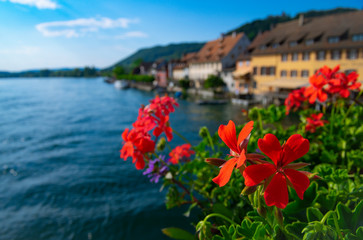 Rote Blumen auf einer Brücke im Schweizer Ort Stein am Rhein. Hier endet der Bodensee und beginnt der Fluß Rhein.