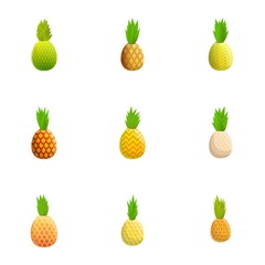 Pineapple icon set. Cartoon set of 9 pineapple vector icons for web design isolated on white background