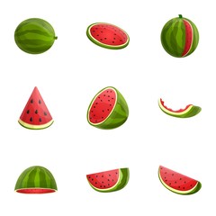 Watermelon icon set. Cartoon set of 9 watermelon vector icons for web design isolated on white background