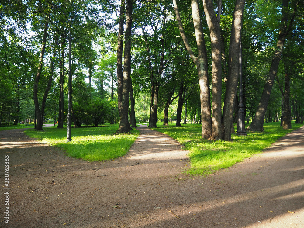 Wall mural Three way foot path in the park. Landscape of sunny summer forest with crossroad. Making decisions and making choices concept.