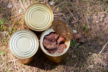 Canned beef on the forest ground. Top view