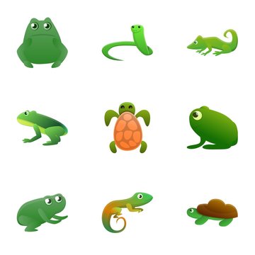 Reptile icon set. Cartoon set of 9 reptile vector icons for web design isolated on white background