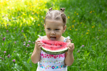 Happy little girl eating water melon in the summer park