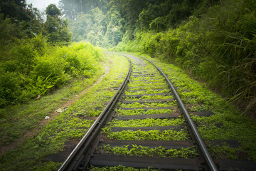 Fototapeta premium railway tracks in green countryside