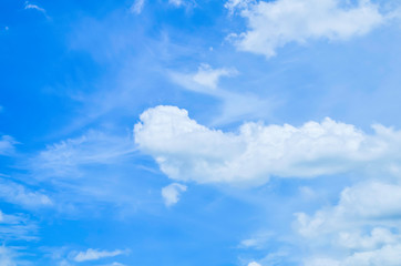 beauty blue sky cloud fluffy scenic in sunny day