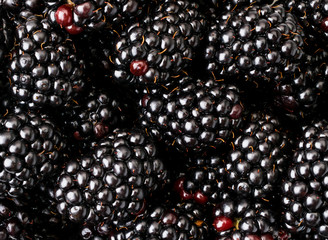 Ripe BlackBerry background. The view of the top.