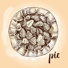 Ink hand drawn homemade pie with strawberries. Food elements collection. Vector illustration. Menu or signboard template.