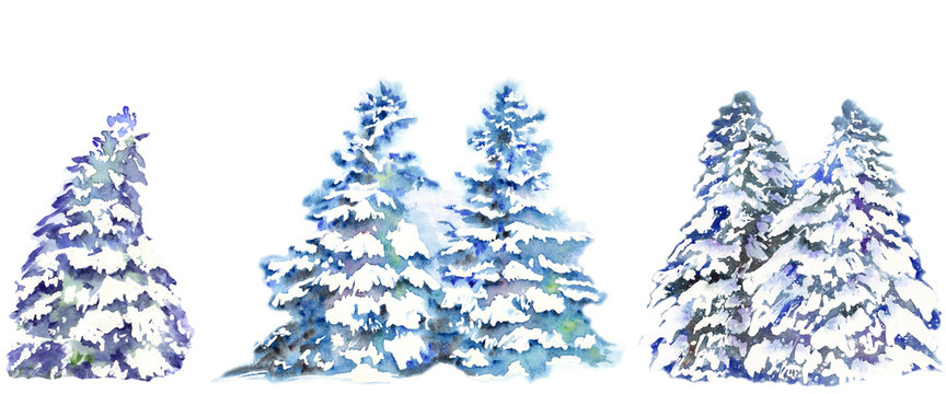 Set of snowy forest pine trees. Watercolor illustration on white background.