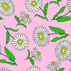 Fototapeta na wymiar Floral seamless pattern of white daisies. Vector illustration of hand drawing