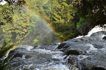 Naklejka na ściany i meble Rainbow falls Northland waterfall New Zealand