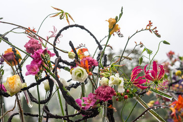 Floral arrangement