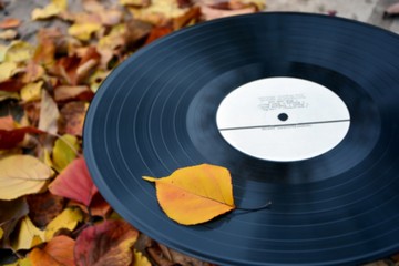 Autumn leaf on a vinyl record on the background of fallen leaves - music of autumn.