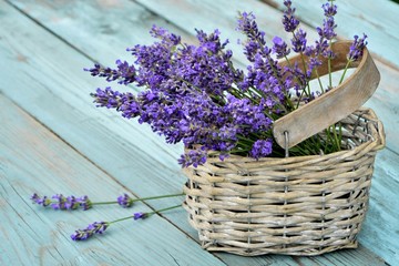 Lavender flowers in basket on old blue wooden background - obrazy, fototapety, plakaty