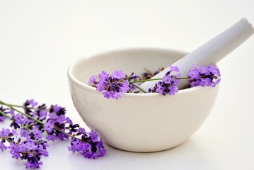 Lavender flowers in white mortar on white background close-up