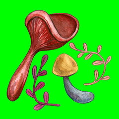 Vintage Watercolor autumn fall mushrooms, branches leaves set. Hand drawn isolated objects on white and colorful background. Fall harvest illustration. Objects allocated in the path