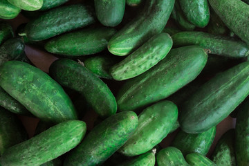 Cucumbers closeup image. Pile of green vegetables flatlay view. Summer harvest or organic diet food