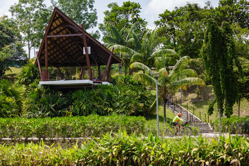 tropical area park tropical landscape day view