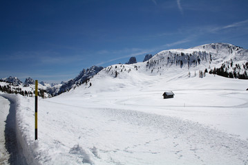 Fototapeta na wymiar sentiero nella neve