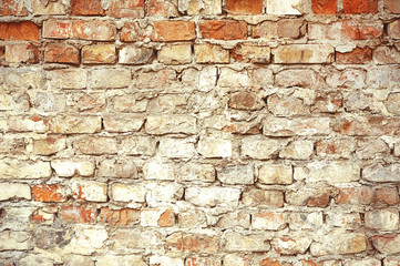 Brick wall with white paint